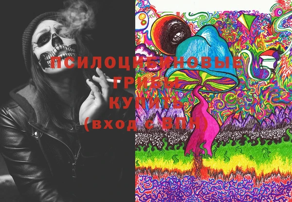 хмурый Алзамай