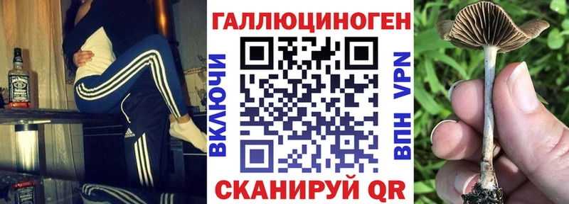 Галлюциногенные грибы MAGIC MUSHROOMS  Рубцовск 